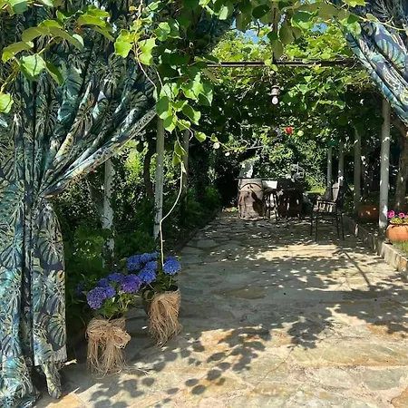 Casa A Boga Ribeira Sacra